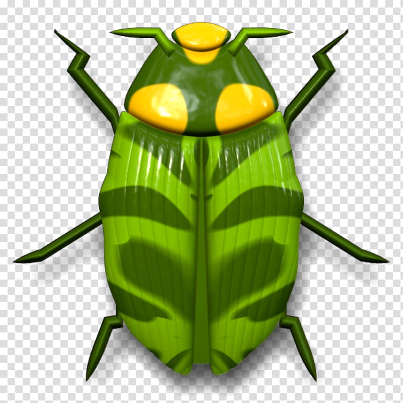 Ladybird beetle Cockroach , beetle transparent background PNG clipart