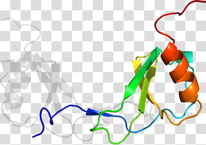 Line Point Organism , line transparent background PNG clipart thumbnail