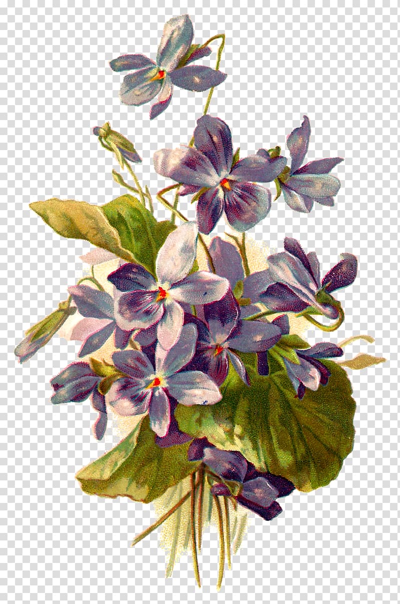 Flower Botanical illustration Botany , violet transparent background PNG clipart