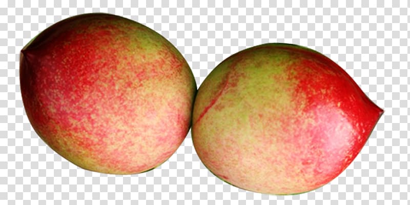 Peach Fruit, Peach transparent background PNG clipart