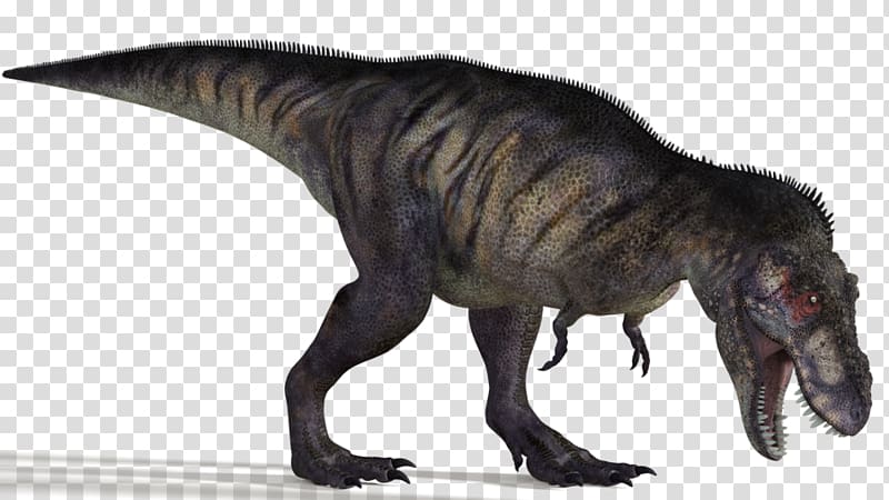 Albertosaurus Bistahieversor Strange Battle Royale 3D Super ball DZ Edmontosaurus, Tyrannosaurus transparent background PNG clipart