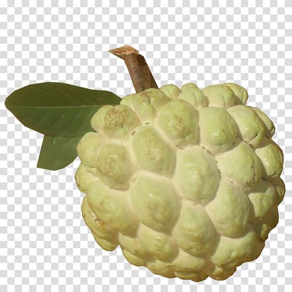 Sugar-apple Custard Barshi Madhuban Farm & Nursery Fruit, apple pie transparent background PNG clipart