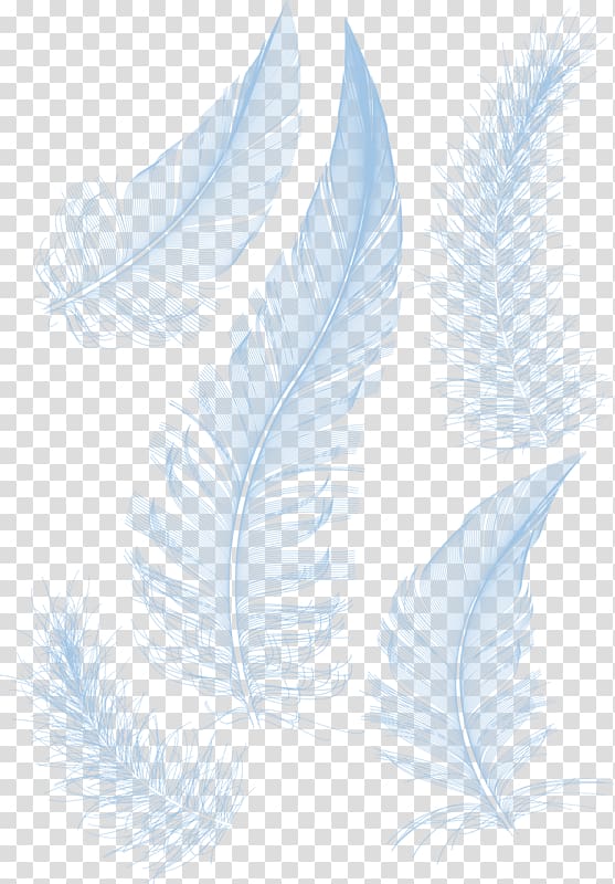 five white feathers illustration, White feather White feather, White feathers transparent background PNG clipart