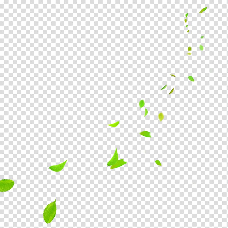 , Clear green leaves falling transparent background PNG clipart