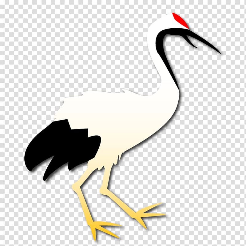 Seabird Beak Stork , Bird transparent background PNG clipart