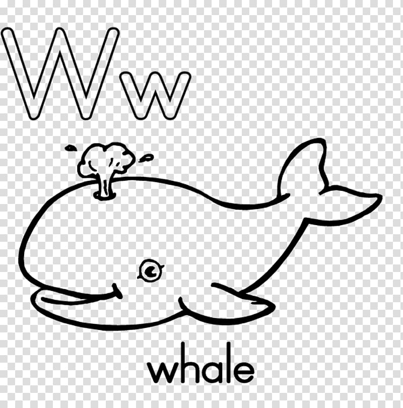 Coloring book Killer whale Whale shark, whale transparent background PNG clipart