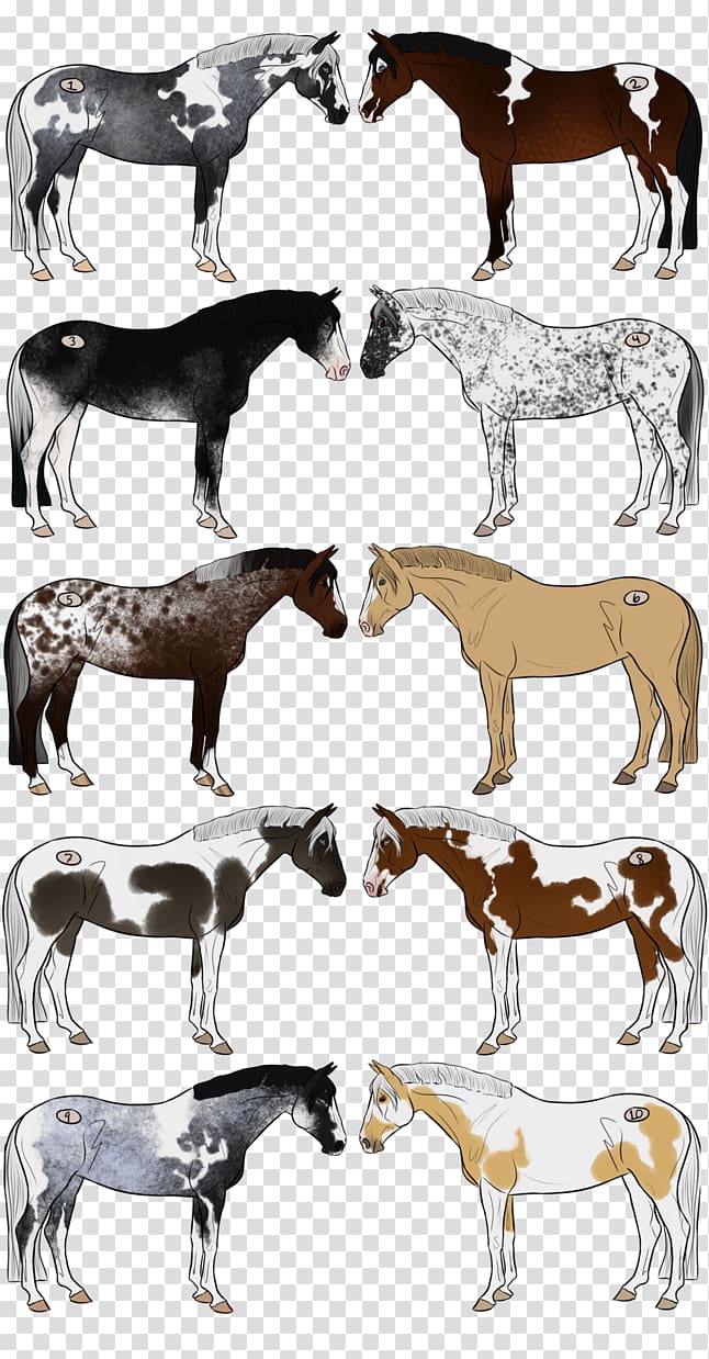Cattle Mustang Foal Stallion Donkey, bidding fee auction transparent background PNG clipart