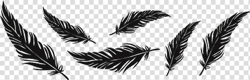 Tattoo Feather Drawing Bird , feather transparent background PNG clipart