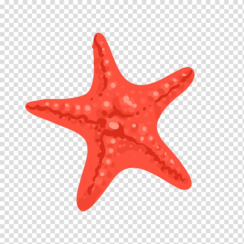 Starfish Euclidean , starfish transparent background PNG clipart