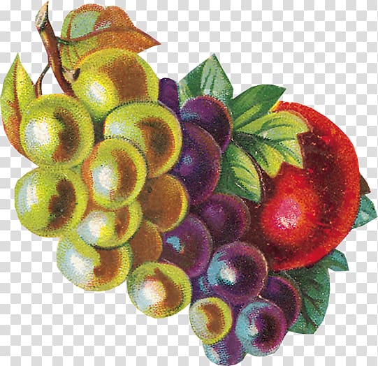 Cranberry Food Fruit Vegetarian cuisine, frutas transparent background PNG clipart