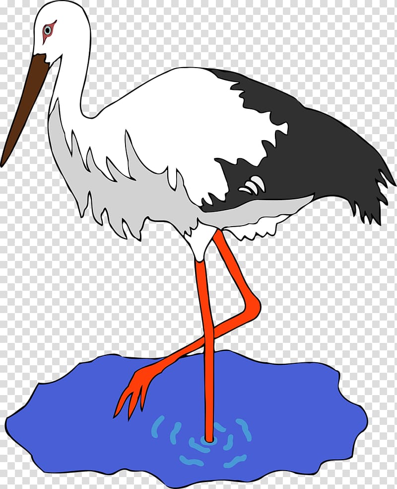 Bird White stork , stork transparent background PNG clipart