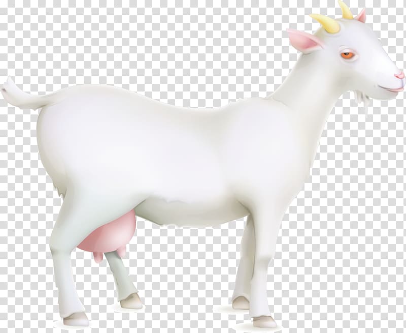 Sheep Goat Cattle, Live Goats transparent background PNG clipart