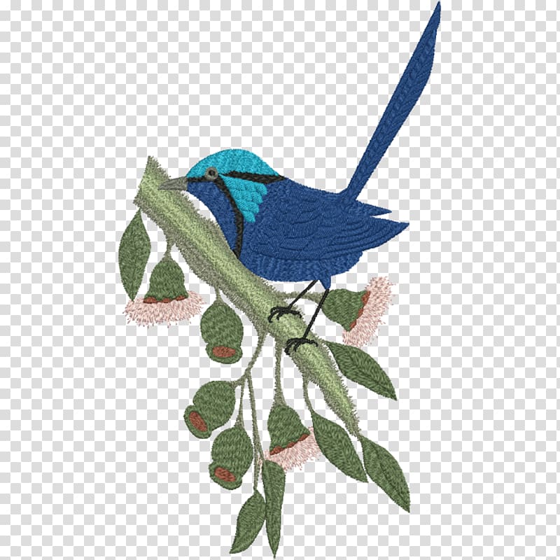 Beak Bird Wren Sacred kingfisher, splendid transparent background PNG clipart