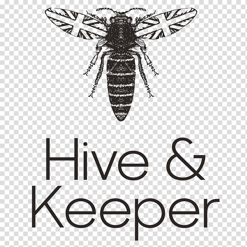 Bee Hive & Keeper Honey Digital marketing Food, bee transparent background PNG clipart