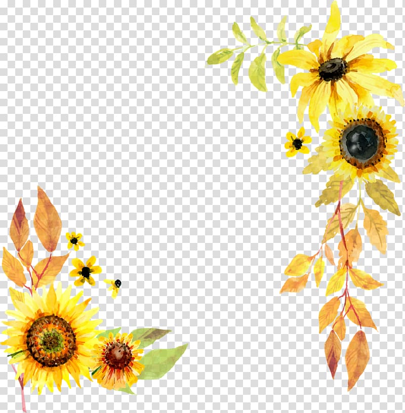 two yellow sunflowers, Common sunflower Red sunflower 2018 Nissan LEAF, Hand-painted sunflower transparent background PNG clipart