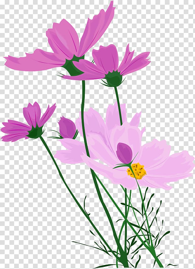 Wildflower, wild flowers transparent background PNG clipart
