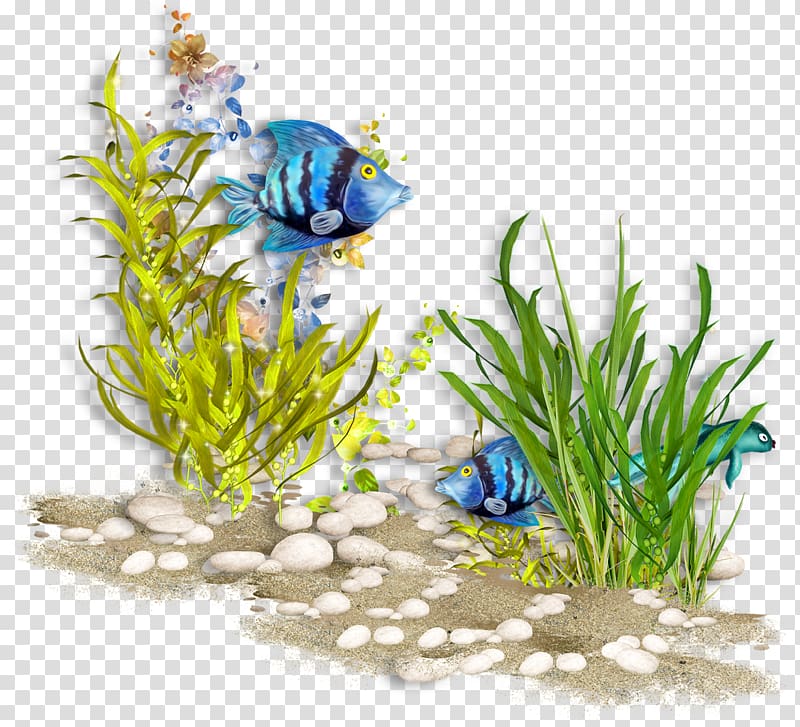 Underwater Sea World Ocean Coral reef, sea transparent background PNG clipart