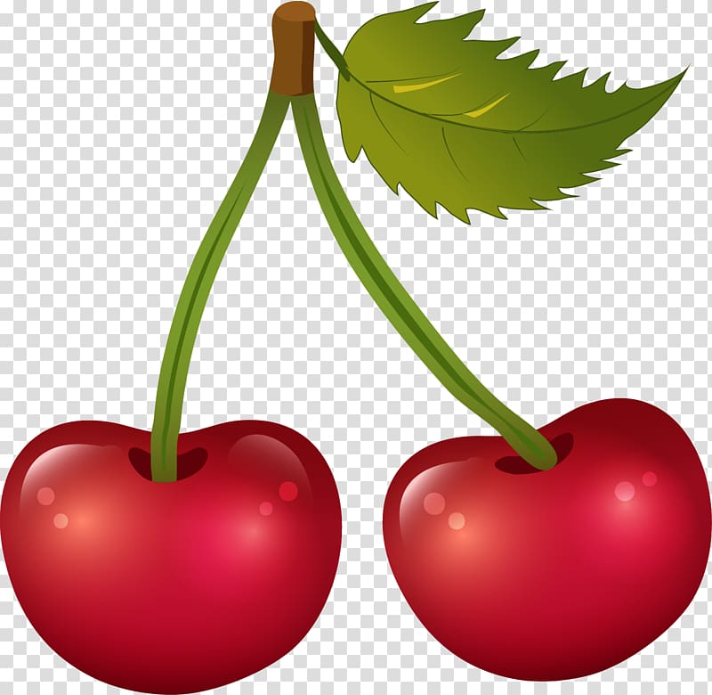 French Quiz Masculine Feminine Cherry , cherry transparent background PNG clipart