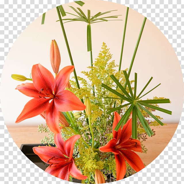 Flower Floral design Ikebana Composition florale Art, Hawaii flower transparent background PNG clipart