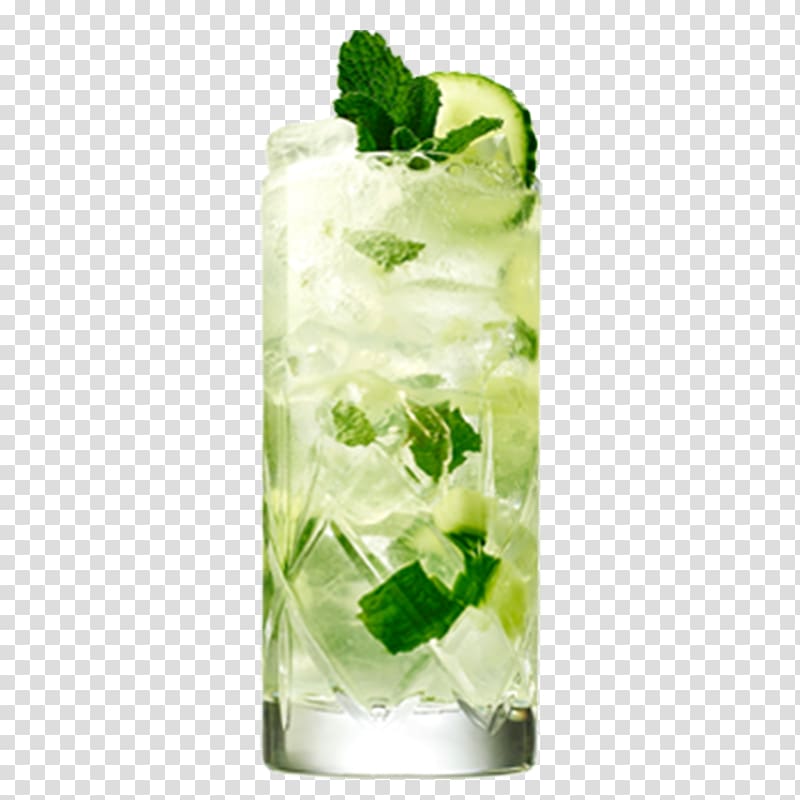 Gin and tonic Cocktail Buck Distilled beverage, cucumber transparent background PNG clipart