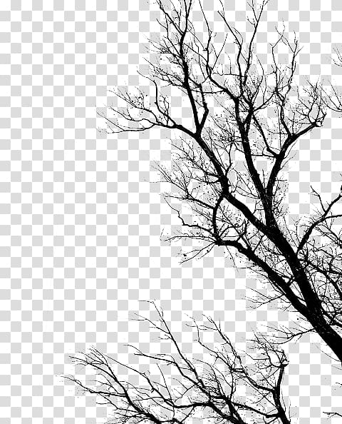 Dead by Daylight Editing, others transparent background PNG clipart ...