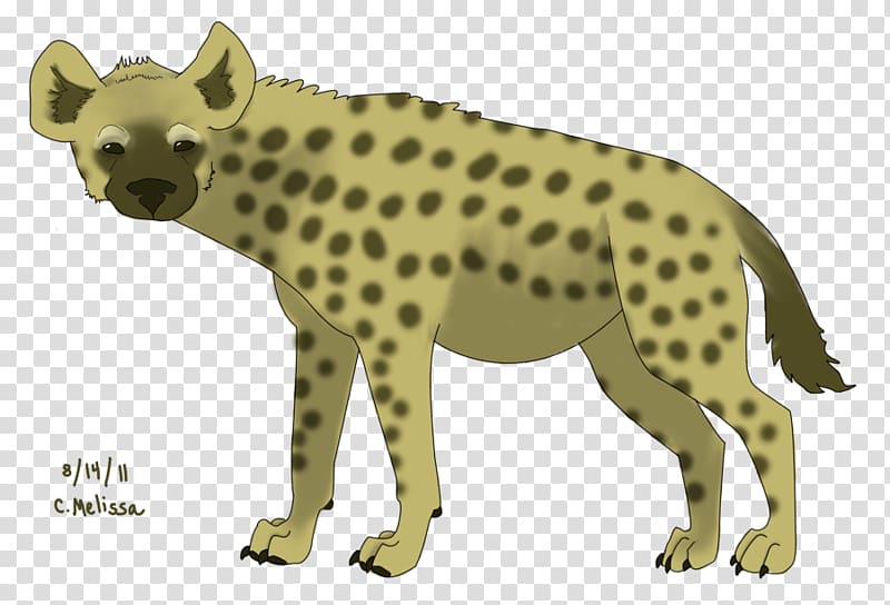 Cheetah Spotted hyena , Hyena transparent background PNG clipart