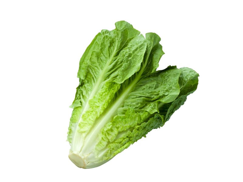 Celtuce Organic food Romaine lettuce Caesar salad Leaf vegetable, salad transparent background PNG clipart