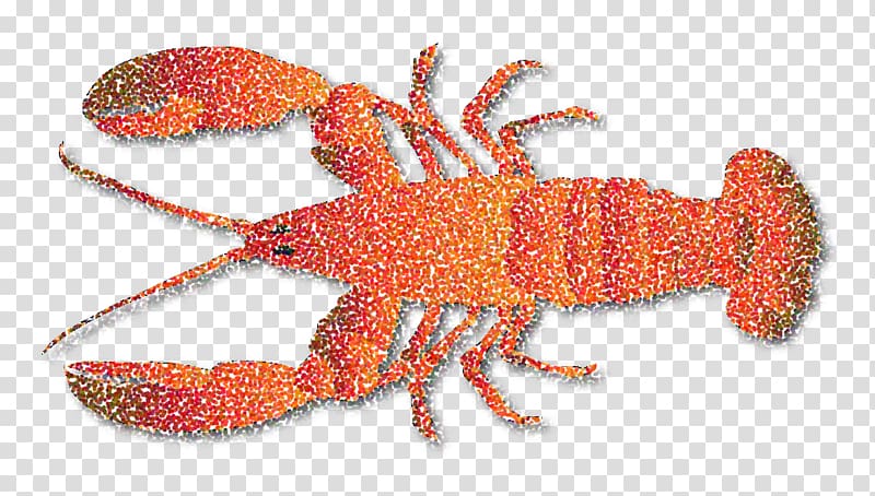 American lobster Crustacean Crab Homarus gammarus Decapoda, lobster transparent background PNG clipart