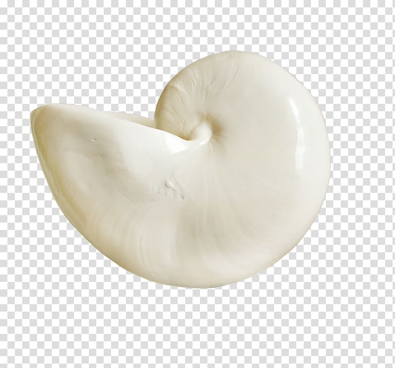 Designer Conch Creativity, Creative brown conch transparent background PNG clipart