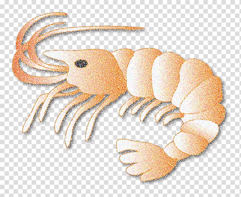 Crab Leftovers Logo Pizza Symbol, shrimps transparent background PNG clipart