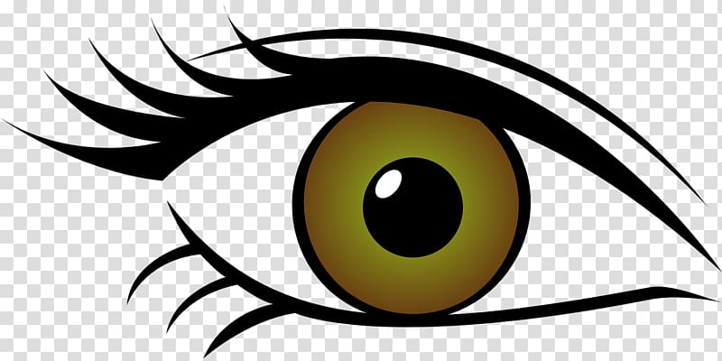 Eye color , eyes transparent background PNG clipart