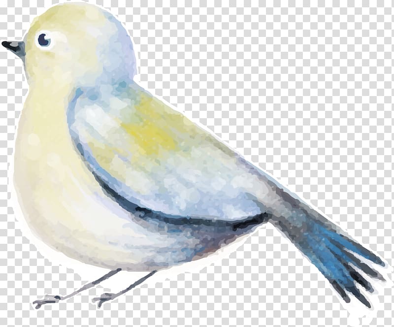 Bird Watercolor painting Drawing, Decorative bird modified transparent background PNG clipart