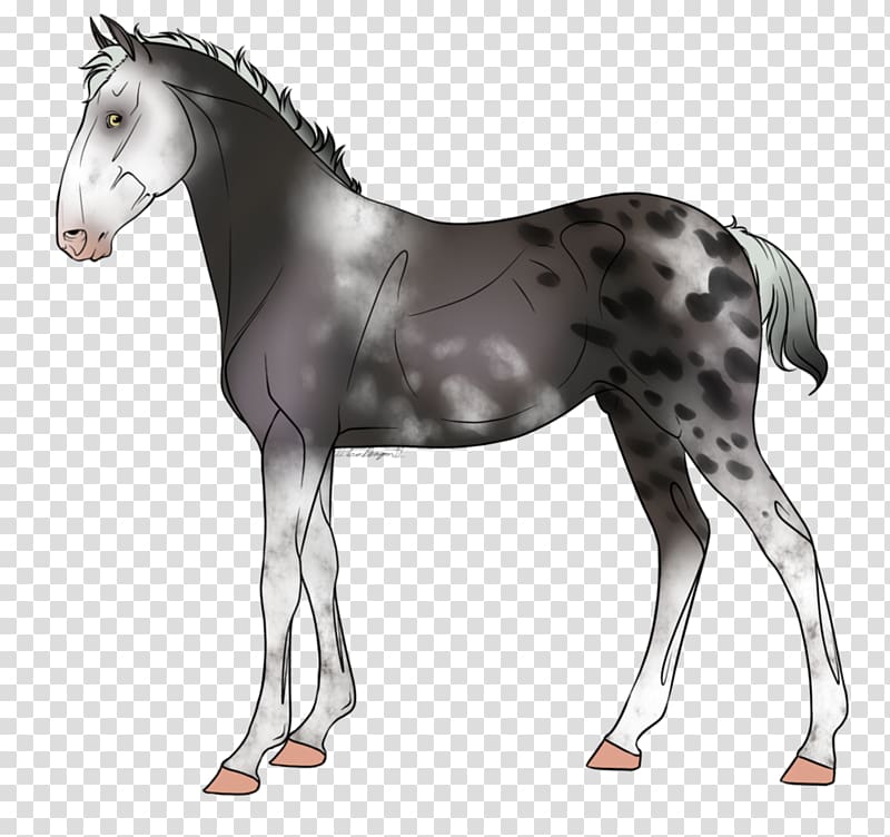 Ink wash painting Foal, Dog transparent background PNG clipart