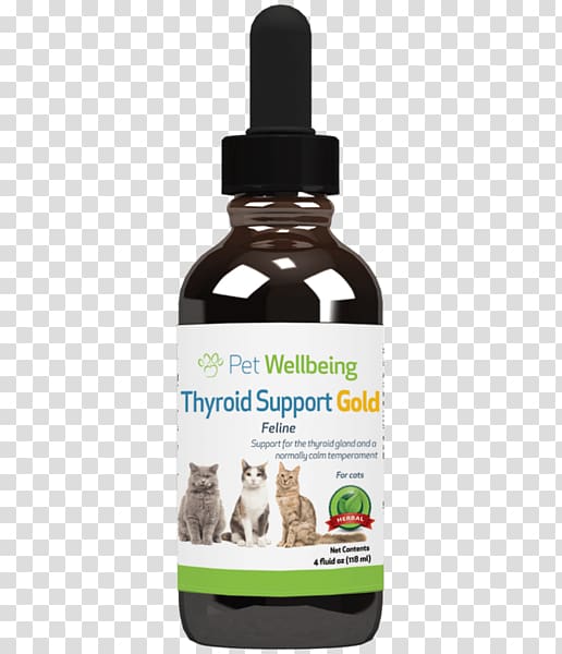 Cat Dog Pet Felidae Dietary supplement, Cat transparent background PNG clipart