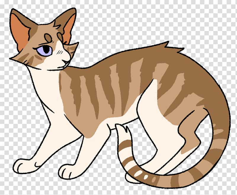 Kitten Whiskers Domestic short-haired cat Cats of the Clans, kitten transparent background PNG clipart