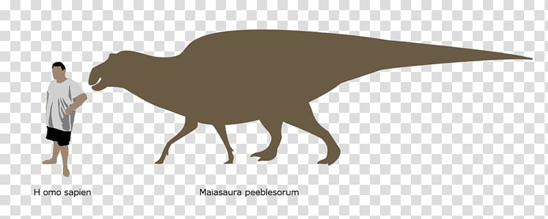 Maiasaura Hadrosaurus Edmontosaurus regalis Zoo Tycoon 2, others transparent background PNG clipart