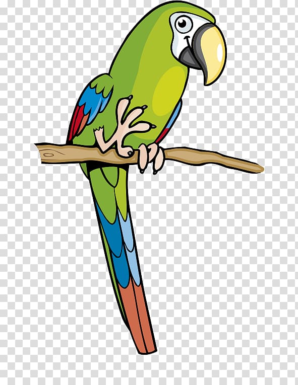 Amazon parrot Macaw Parakeet , Cartoon parrot green transparent background PNG clipart