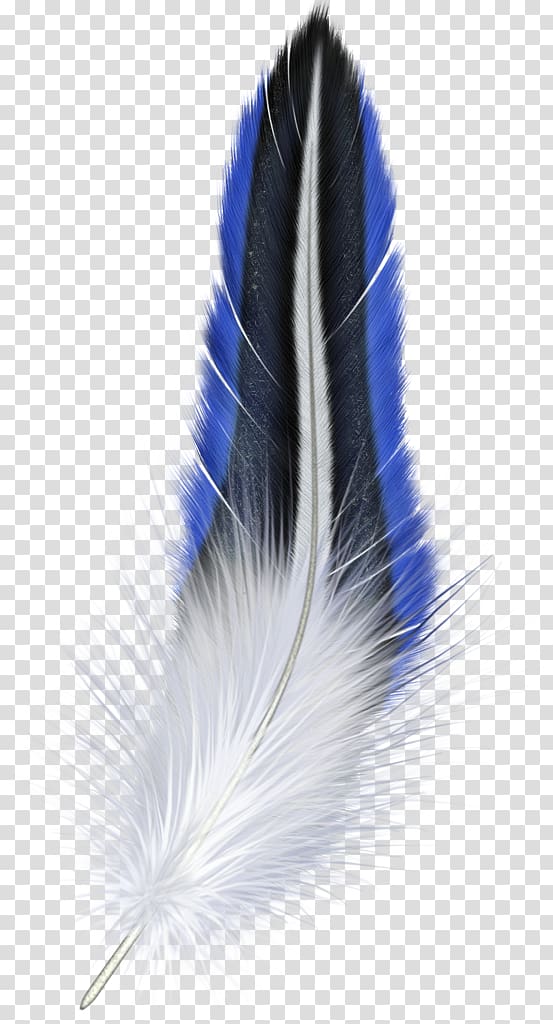 black and white feather, Blue Feather, Feather transparent background PNG clipart