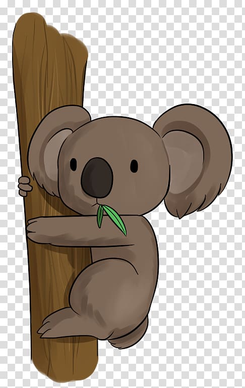 Koala Bear , Koala transparent background PNG clipart