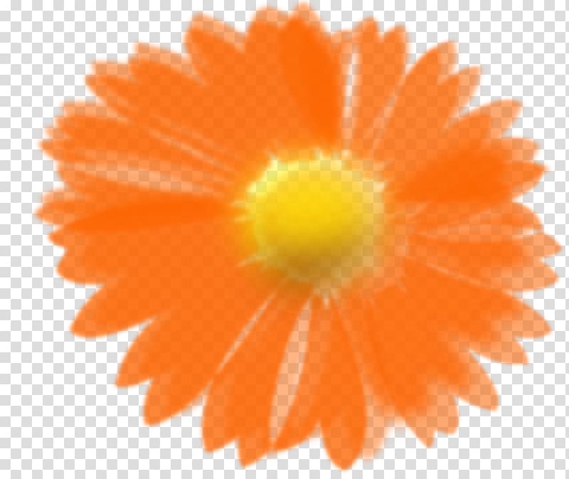 Orange Flower , sunflower transparent background PNG clipart