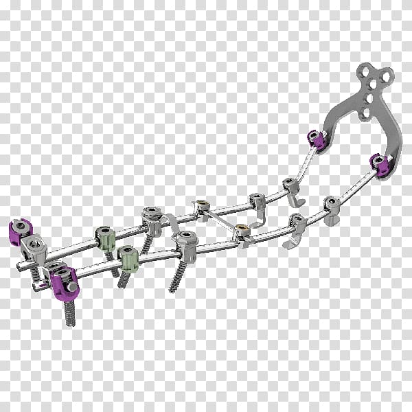 Vertebral column Thoracic vertebrae Surgery Stryker Corporation Spinal cord, thoracic transparent background PNG clipart