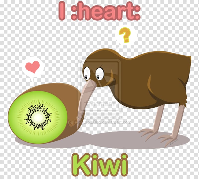 Cat Flightless bird Animal Mammal Carnivora, kiwi bird transparent background PNG clipart