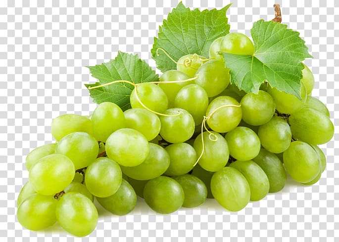 Common Grape Vine Wine Juice Concord grape, wine transparent background PNG clipart