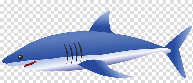 Tiger shark Fin Blue shark, Big blue shark transparent background PNG clipart