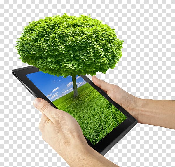 Environmentally friendly Carpet Green computing Business, Tree on your computer transparent background PNG clipart