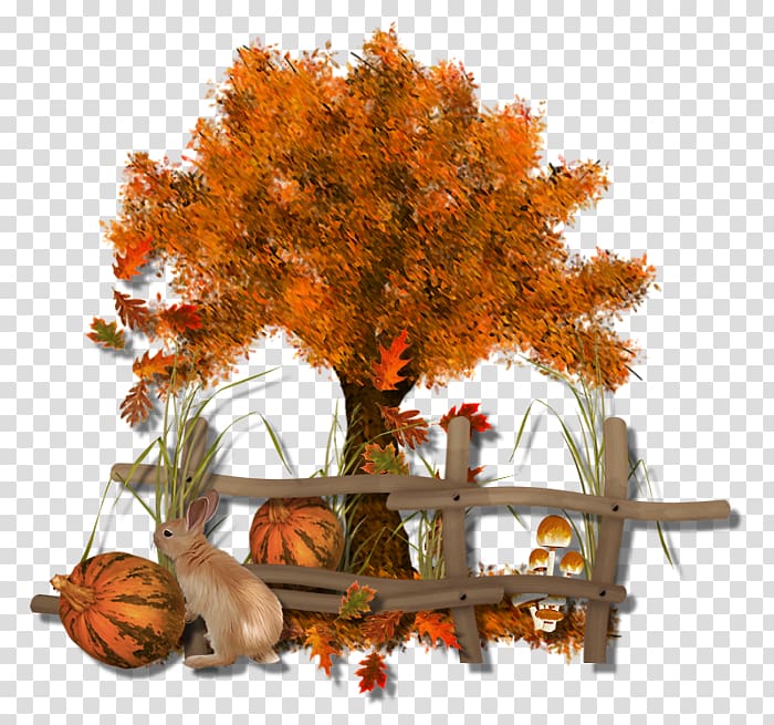 Autumn Tree Twig , autumn transparent background PNG clipart