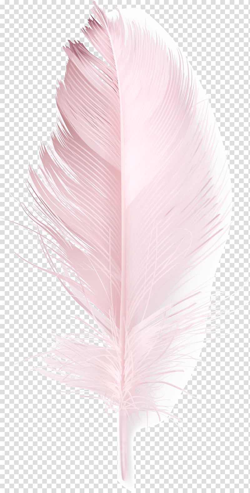 Feather Pink Duck, Pink feather transparent background PNG clipart
