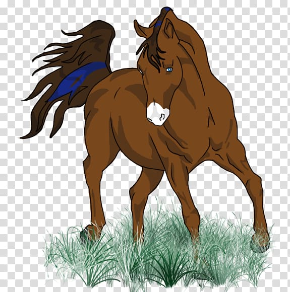 Pony Mare Mustang Foal Stallion, mustang transparent background PNG clipart