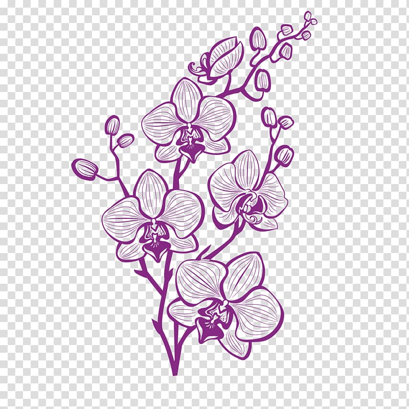 purple moth orchids illustration, Hand painted purple orchid transparent background PNG clipart