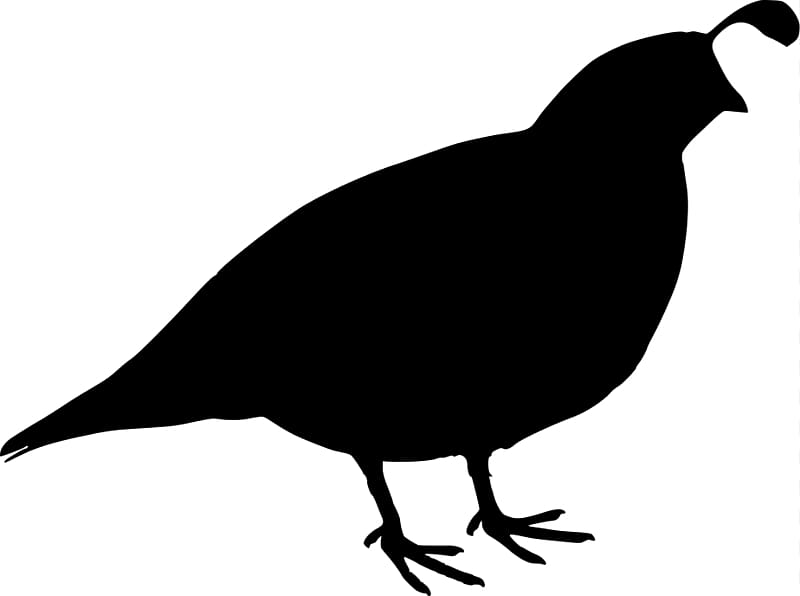 quail silhouette clip art